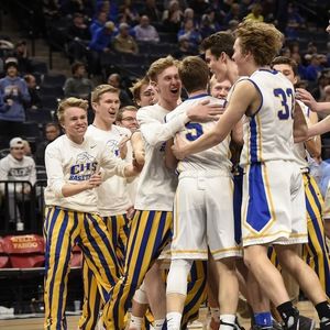 Meet your Posher, Griffin